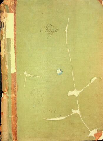 Open original Objeto digital